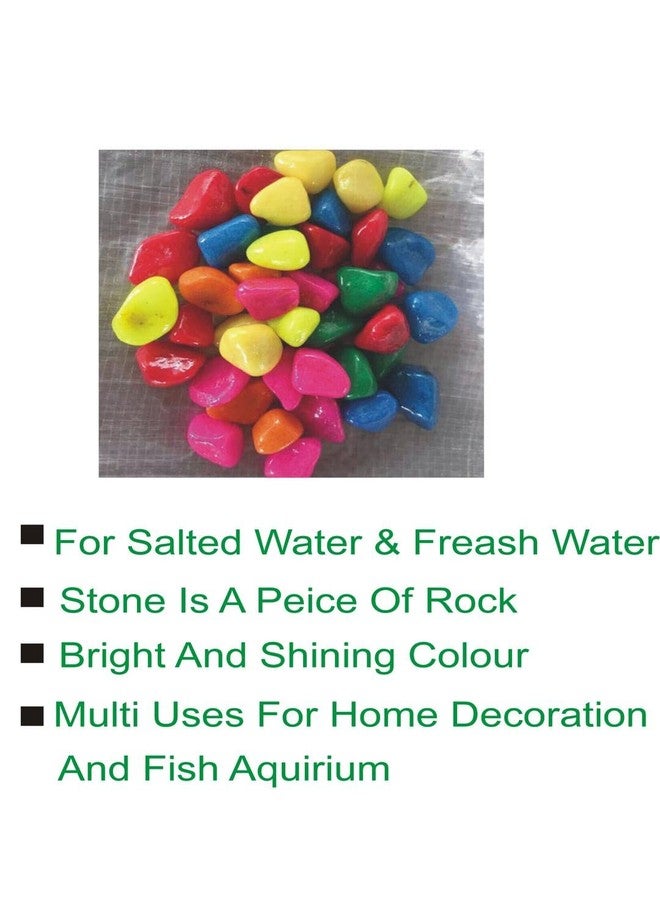 Somil Multicolor Pebbles/Stones for Garden, Plants, Lawns, Aquariums, Fish Pots, Home Decor, Vases, Furniture Filler. Size: 10-30mm, Shiny Multicolor -A611 - Image 2